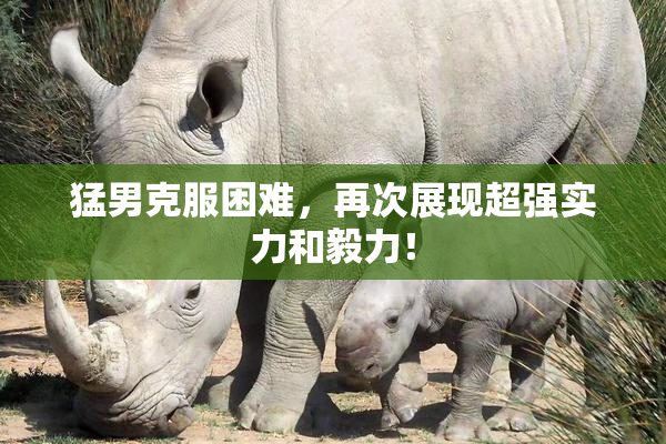 猛男克服困难，再次展现超强实力和毅力！