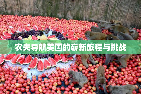 农夫导航美国的崭新旅程与挑战