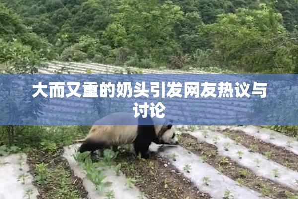 大而又重的奶头引发网友热议与讨论