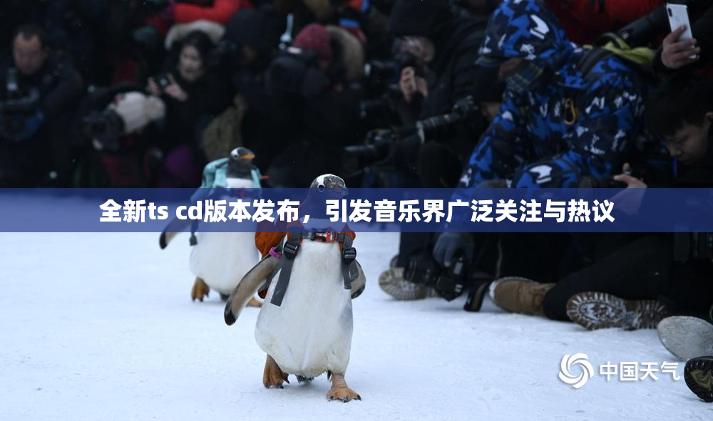 全新ts cd版本发布，引发音乐界广泛关注与热议