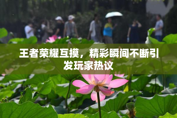 王者荣耀互摸，精彩瞬间不断引发玩家热议