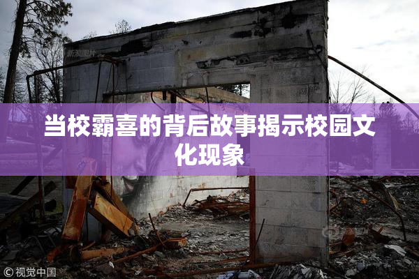 当校霸喜的背后故事揭示校园文化现象