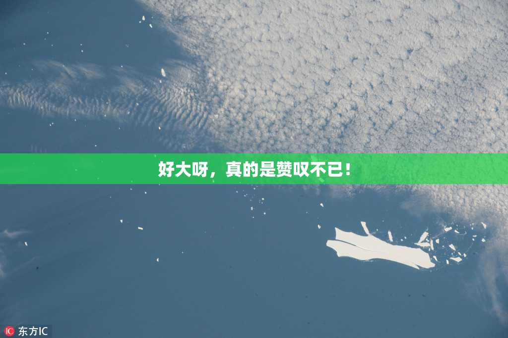 好大呀，真的是赞叹不已！