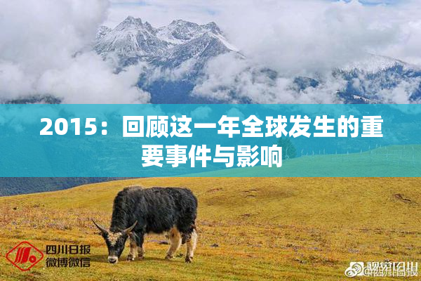 2015：回顾这一年全球发生的重要事件与影响