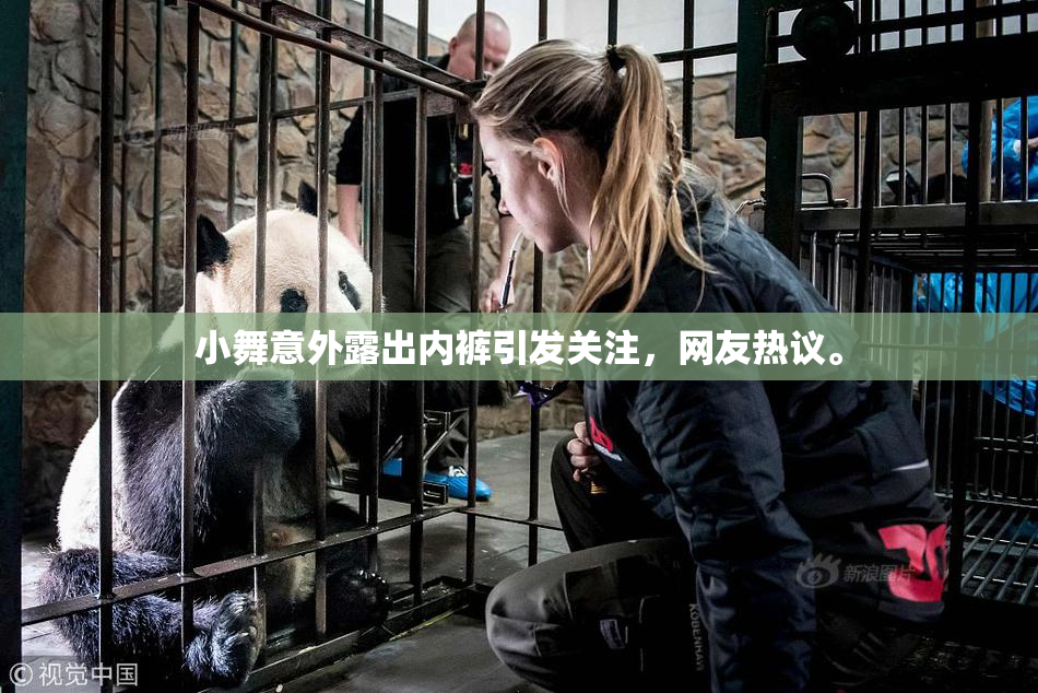 小舞意外露出内裤引发关注，网友热议。