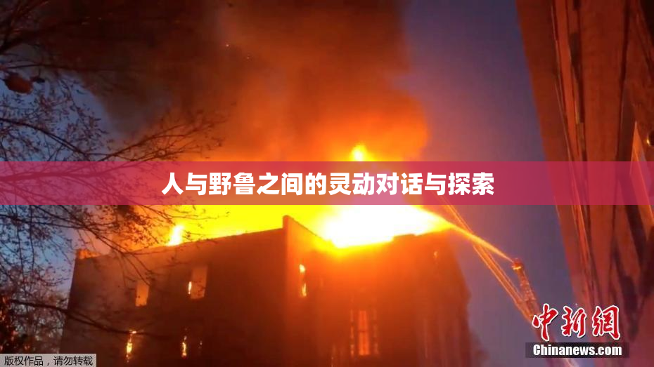 人与野鲁之间的灵动对话与探索