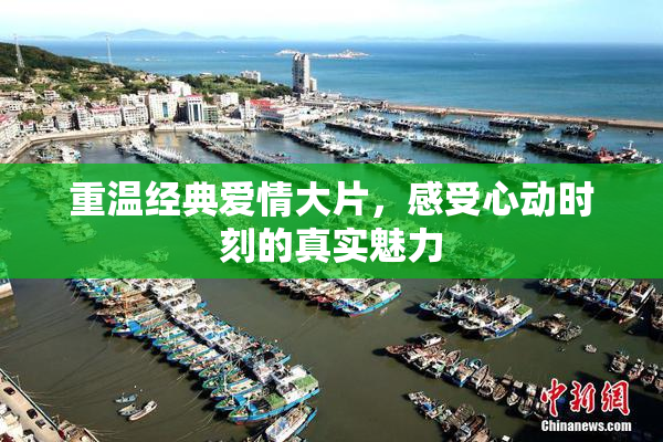 重温经典爱情大片，感受心动时刻的真实魅力