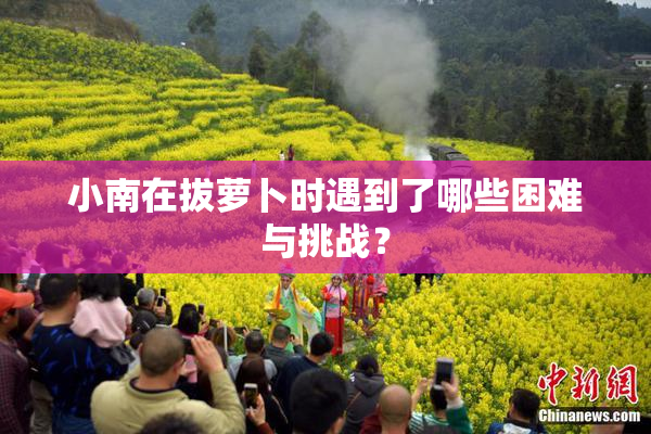 小南在拔萝卜时遇到了哪些困难与挑战？