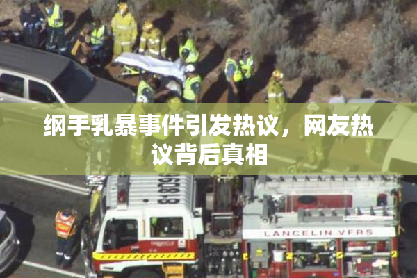 纲手乳暴事件引发热议，网友热议背后真相