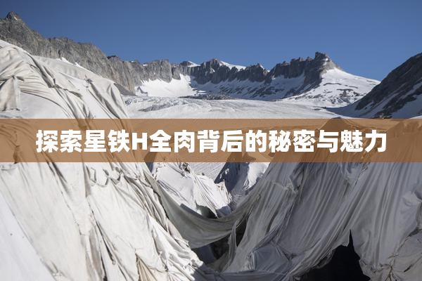 探索星铁H全肉背后的秘密与魅力