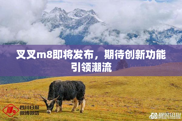 叉叉m8即将发布，期待创新功能引领潮流