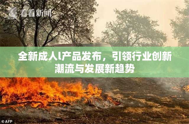 全新成人l产品发布，引领行业创新潮流与发展新趋势