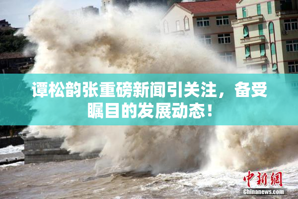 谭松韵张重磅新闻引关注，备受瞩目的发展动态！