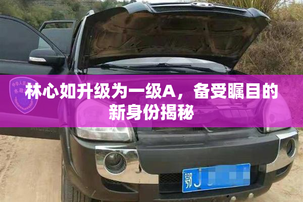 林心如升级为一级A，备受瞩目的新身份揭秘