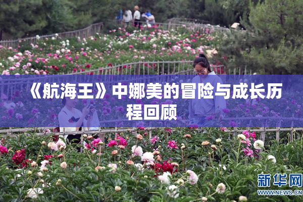 《航海王》中娜美的冒险与成长历程回顾