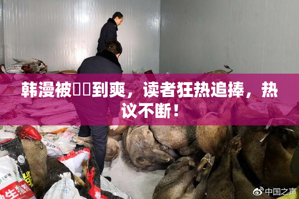 韩漫被❌‌到爽，读者狂热追捧，热议不断！
