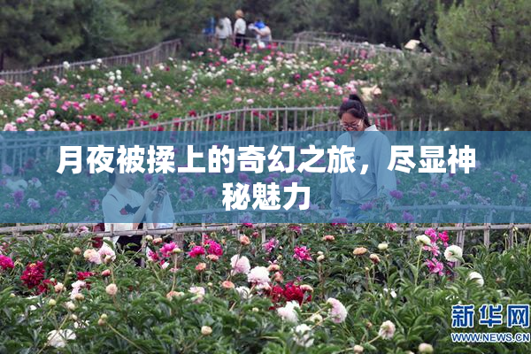月夜被揉上的奇幻之旅，尽显神秘魅力