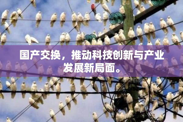国产交换，推动科技创新与产业发展新局面。