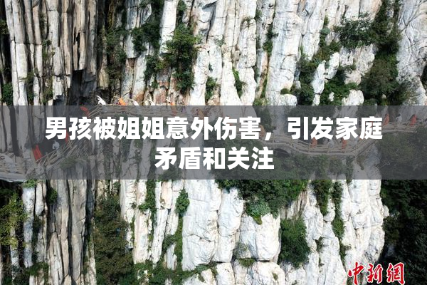 男孩被姐姐意外伤害，引发家庭矛盾和关注