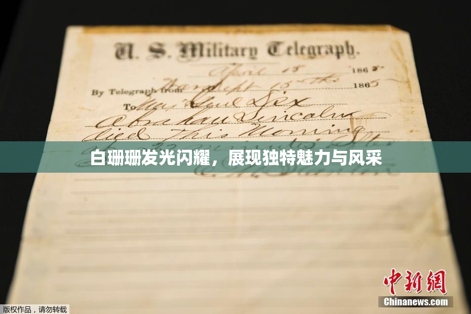 白珊珊发光闪耀，展现独特魅力与风采