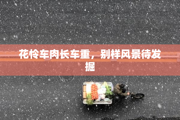 花怜车肉长车重，别样风景待发掘