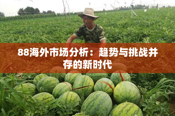 88海外市场分析：趋势与挑战并存的新时代