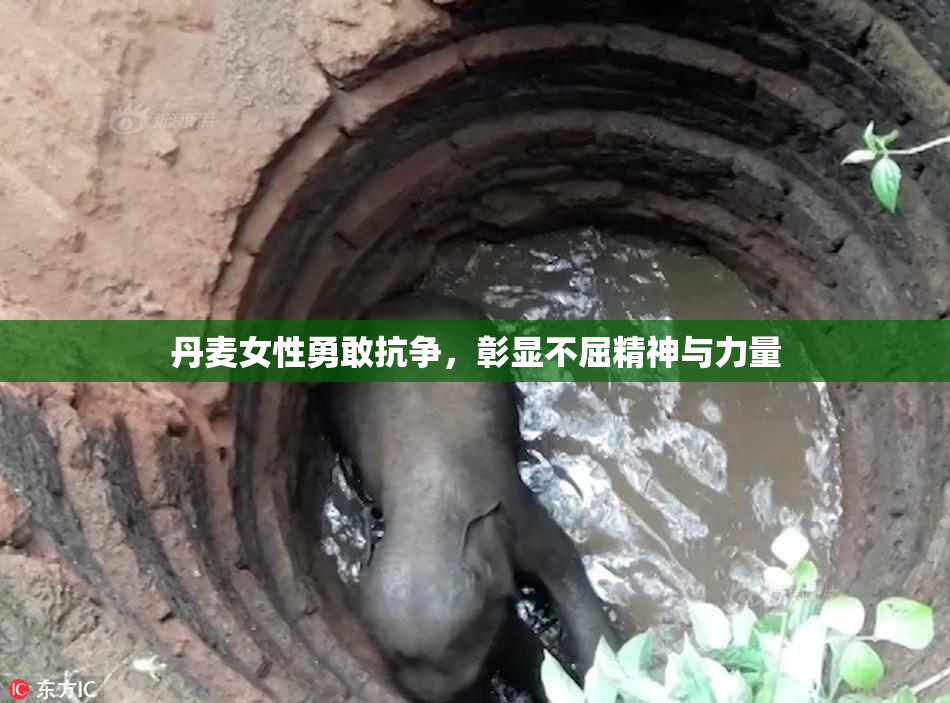 丹麦女性勇敢抗争，彰显不屈精神与力量