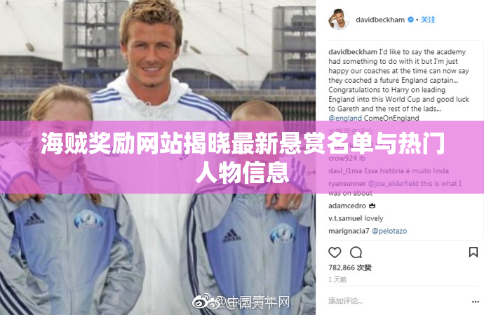 海贼奖励网站揭晓最新悬赏名单与热门人物信息