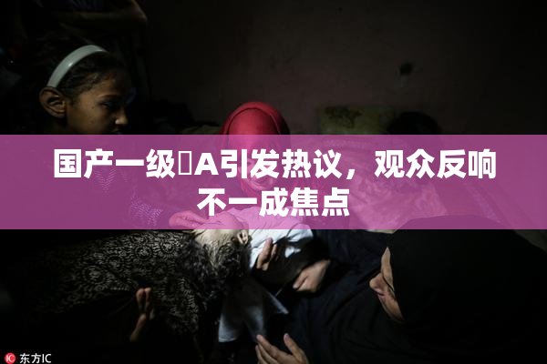 国产一级婬A引发热议，观众反响不一成焦点
