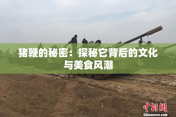 猪鞭的秘密：探秘它背后的文化与美食风潮