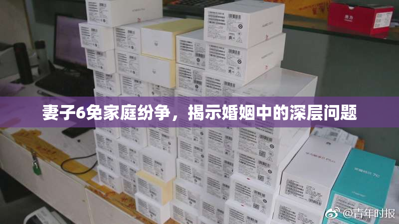 妻子6免家庭纷争，揭示婚姻中的深层问题