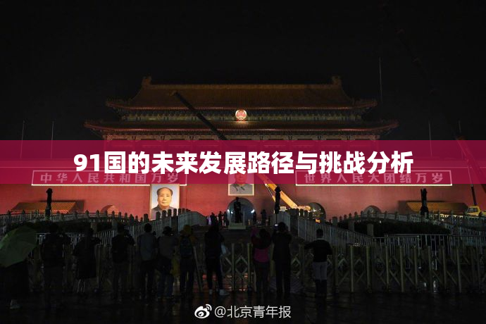 91国的未来发展路径与挑战分析