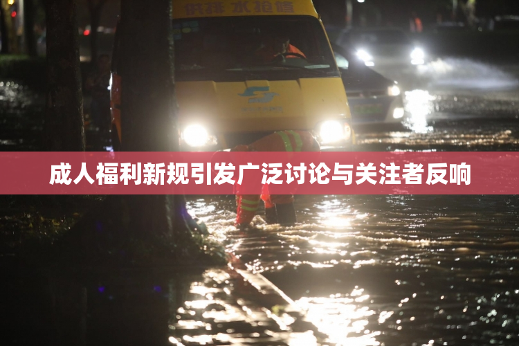 成人福利新规引发广泛讨论与关注者反响