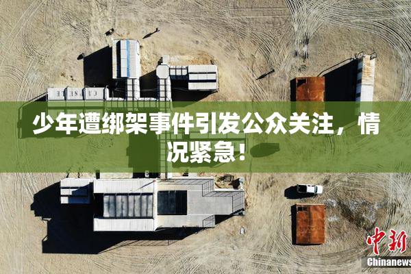 少年遭绑架事件引发公众关注，情况紧急！