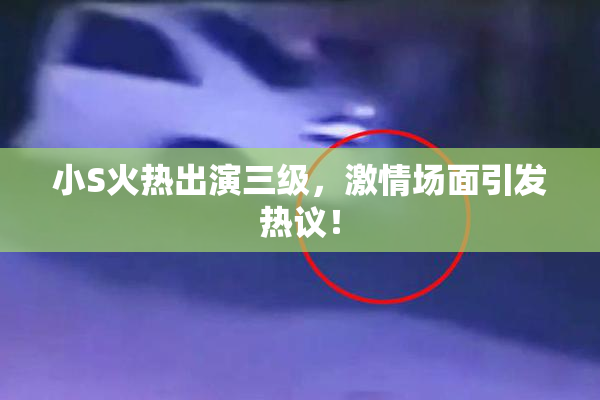 小S火热出演三级，激情场面引发热议！