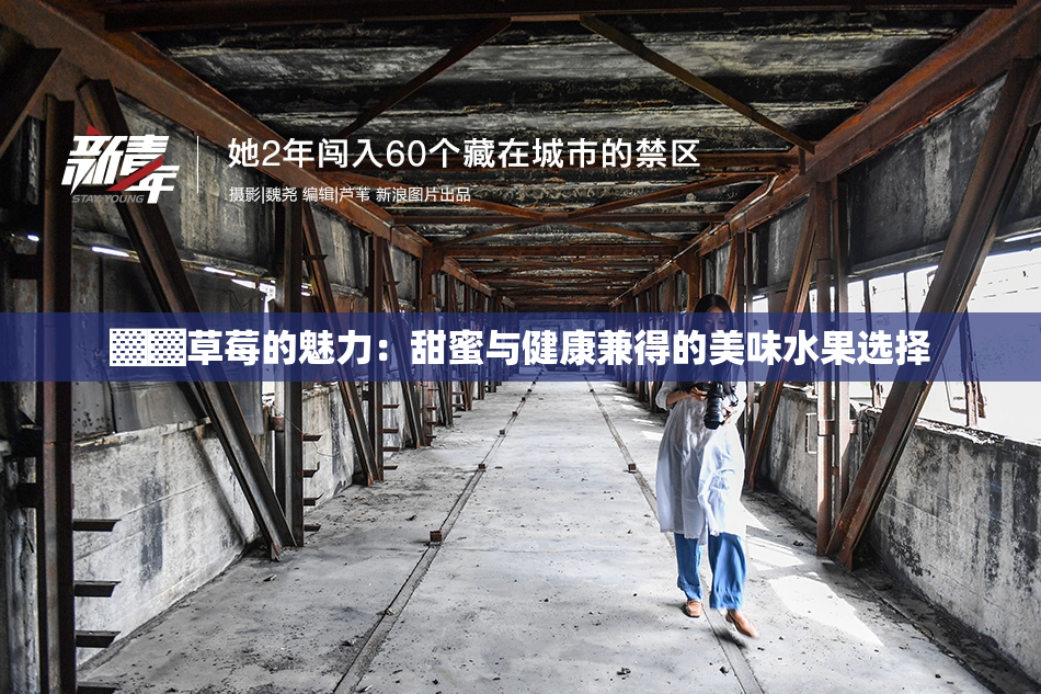 ▓▓草莓的魅力：甜蜜与健康兼得的美味水果选择