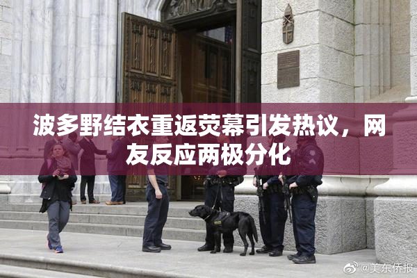 波多野结衣重返荧幕引发热议，网友反应两极分化