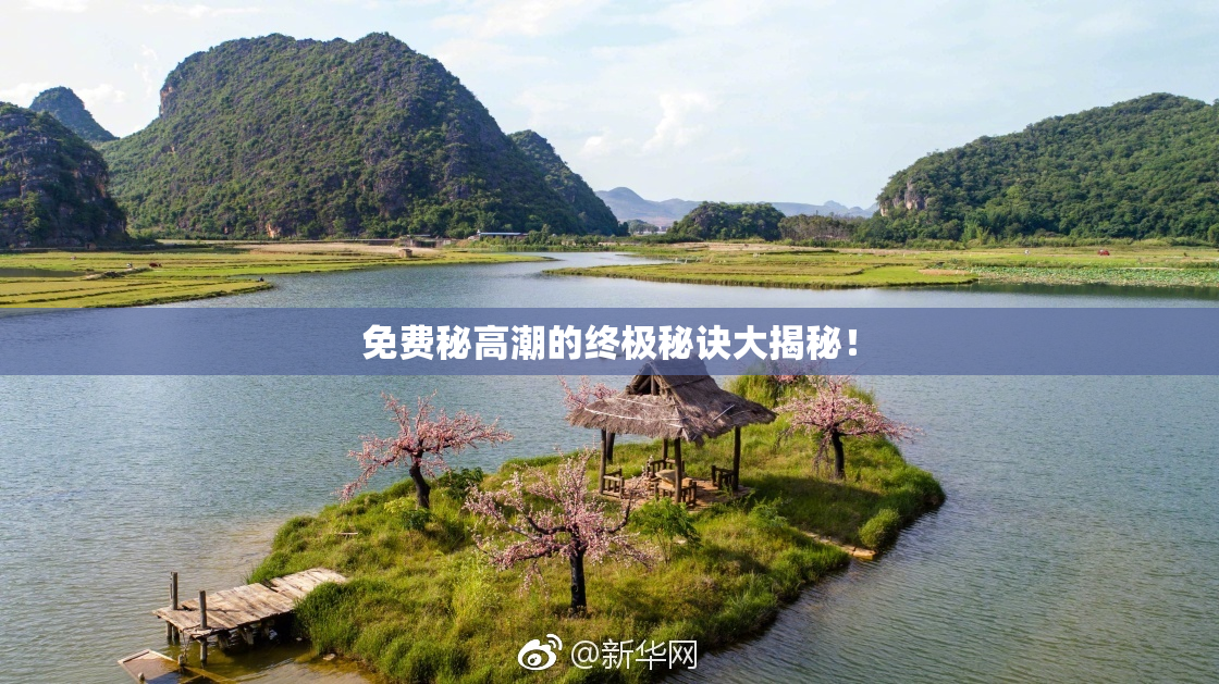 免费秘高潮的终极秘诀大揭秘！