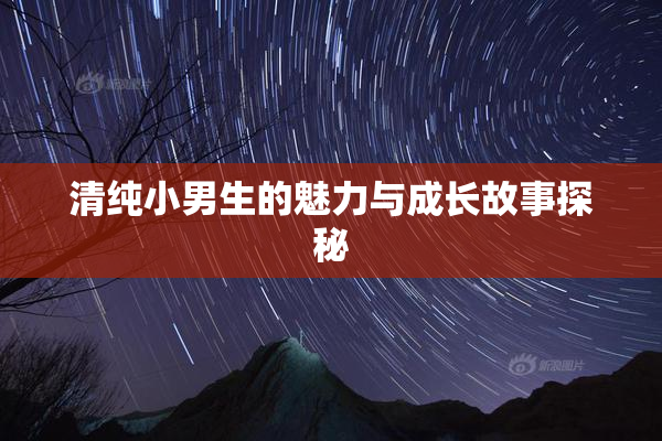 清纯小男生的魅力与成长故事探秘