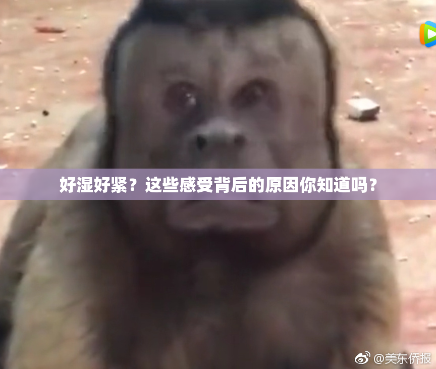好湿好紧？这些感受背后的原因你知道吗？