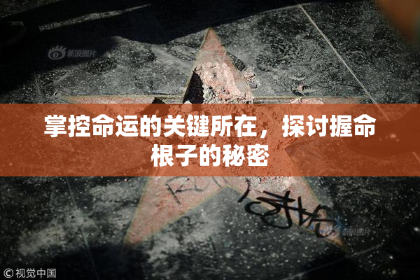 掌控命运的关键所在，探讨握命根子的秘密