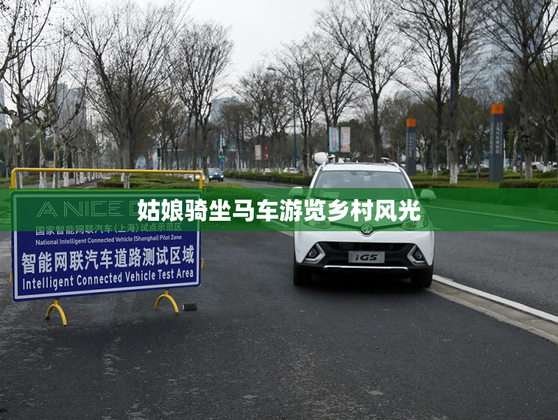 姑娘骑坐马车游览乡村风光