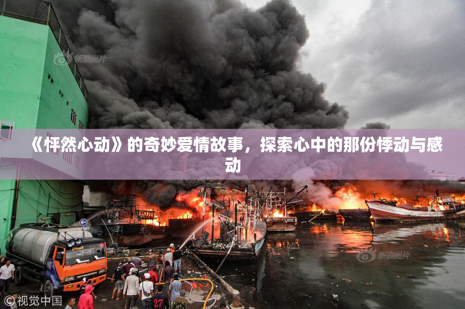 《怦然心动》的奇妙爱情故事，探索心中的那份悸动与感动