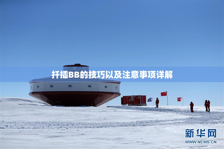 扦插BB的技巧以及注意事项详解