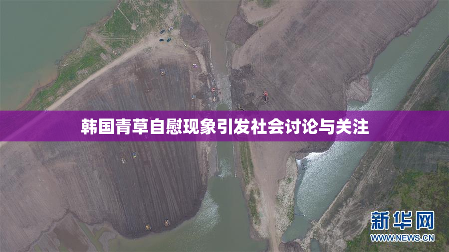 韩国青草自慰现象引发社会讨论与关注