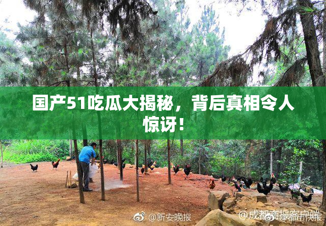 国产51吃瓜大揭秘，背后真相令人惊讶！