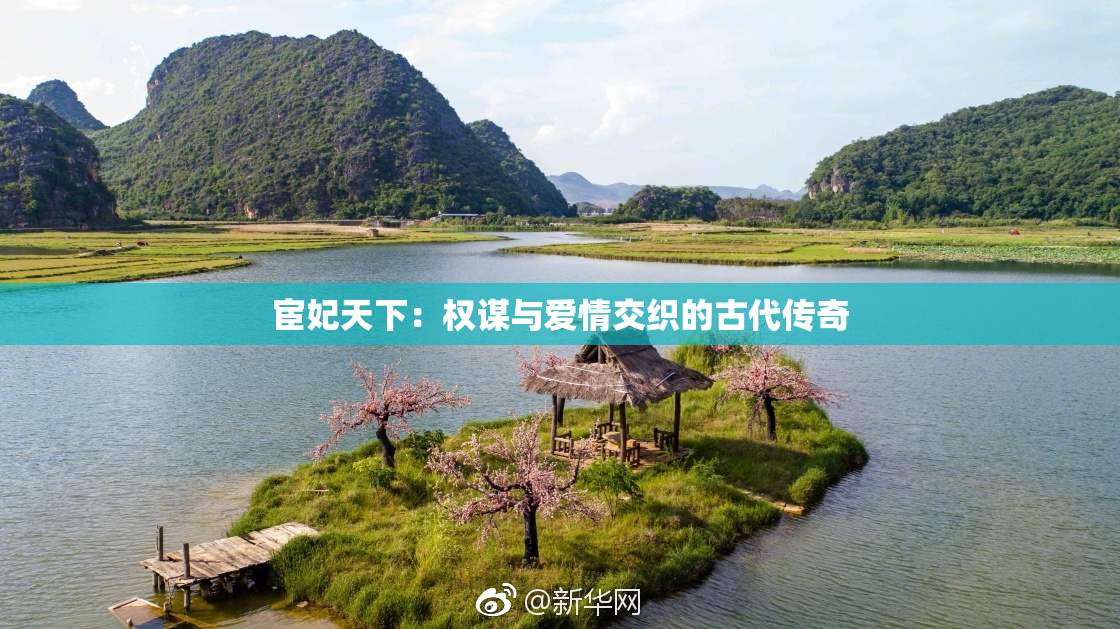 宦妃天下：权谋与爱情交织的古代传奇