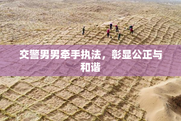 交警男男牵手执法，彰显公正与和谐