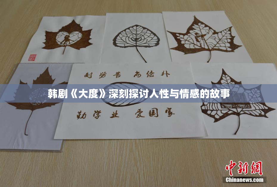 韩剧《大度》深刻探讨人性与情感的故事