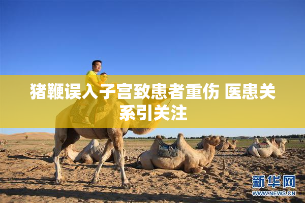 猪鞭误入子宫致患者重伤 医患关系引关注